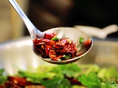 辣椒-天治宣·野椒鸡(龙头寺总店)