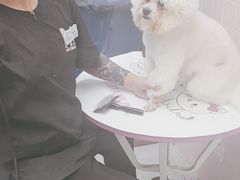 -FAELING PETS美天灵宠物(富力广场店)