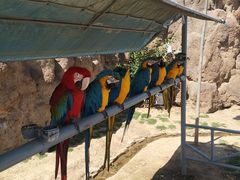 -西霞口神雕山野生动物世界