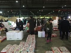 -菜园坝水果市场