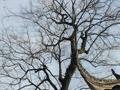 -金堂县云顶石城风景区