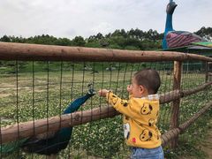 -秀丽东方