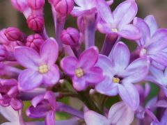 -中国移动(望京营业厅)