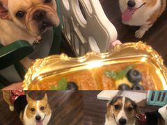 -柯斗斗主题餐厅·狗咖·围炉煮茶·茶饮(国瑞升平里店)