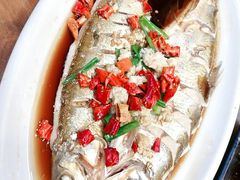 古镇白水鱼-印象江南(东栅店)