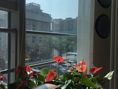 -民航总医院