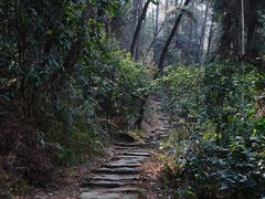 -缙云山景区