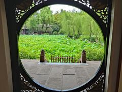 -桂湖森林公园