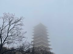 -牛首山文化旅游区