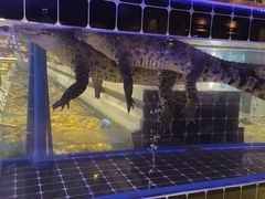 -川骄海鲜自助(河东店)