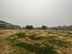 -秀丽东方
