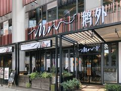 -MR鹅外