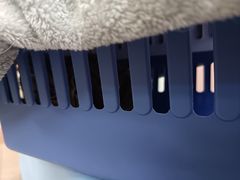 -联合动物医院(光谷诊疗中心)