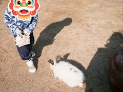 -菊园百果园