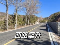 -百里山水画廊