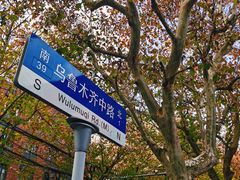 -复旦大学附属华山医院(总院)