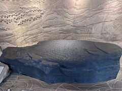 -白鹤梁水下博物馆