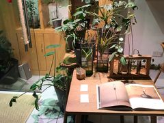 -柴务处·柴犬主题狗咖