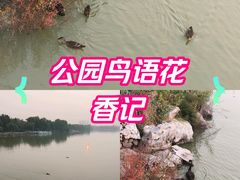 -天津水上公园