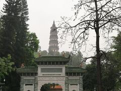 -顺峰山公园