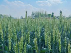 -中国天府农业博览园