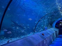 -太平洋海底世界