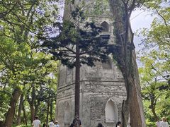 -江心屿景区