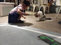 -小时光咖啡馆(开森度假森林店)