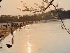 -瑶湖郊野森林公园