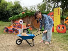 -HERRE·FARM 赫尔露营农场·团建聚会包场