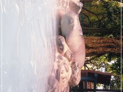 -湖泉半山温泉(湖泉生态园)