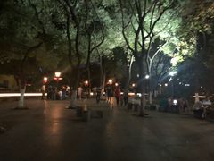 -常州古运河南大街文化旅游区-人民公园