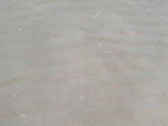 -白沙滩