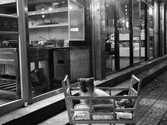 -永定门长途汽车站