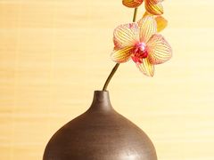 -华为授权体验店(厚街明丰)