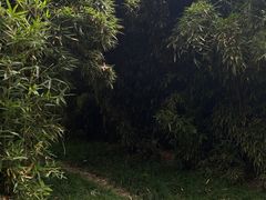 -新洲生态园