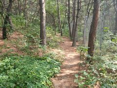 -沈阳辉山风景区