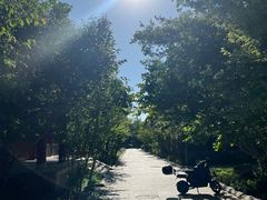 -农园餐厅(北京大学店)