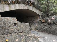 -上海佘山国家森林公园天马山园