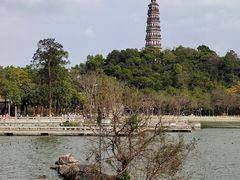 -顺峰山公园