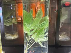 -广东中医药博物馆