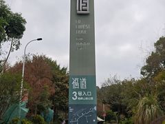 -福道