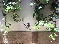 -衣裳街历史文化街区