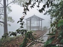 -重庆雨台山风景区