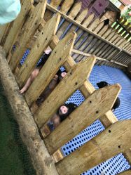 -萌宠亲子动物乐园(槐房万达店)