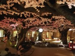 -蓝鲸湾汤泉(包河店)