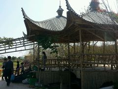 -丹樱生态园