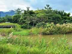 -福田红树林生态公园