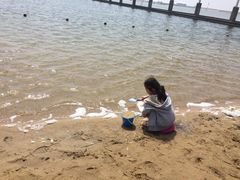 -碧海金沙