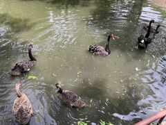 -济南野生动物世界